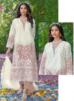 Heavy Organza Peach Festival Wear Embroidery Work Pakistani Suit